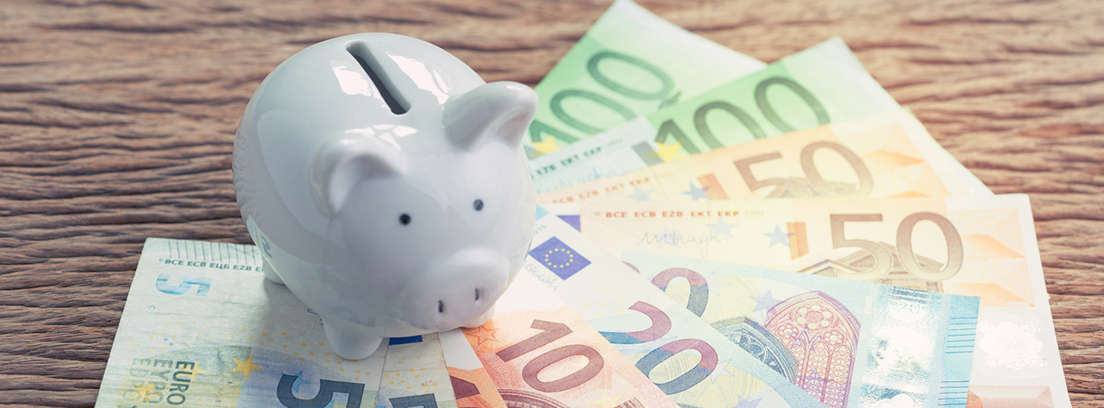 Hucha con forma de cerdo sobre unos billetes de euro
