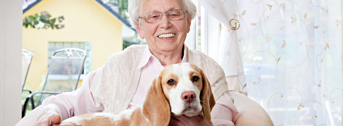 Hombre de edad avanzada con perro en brazos