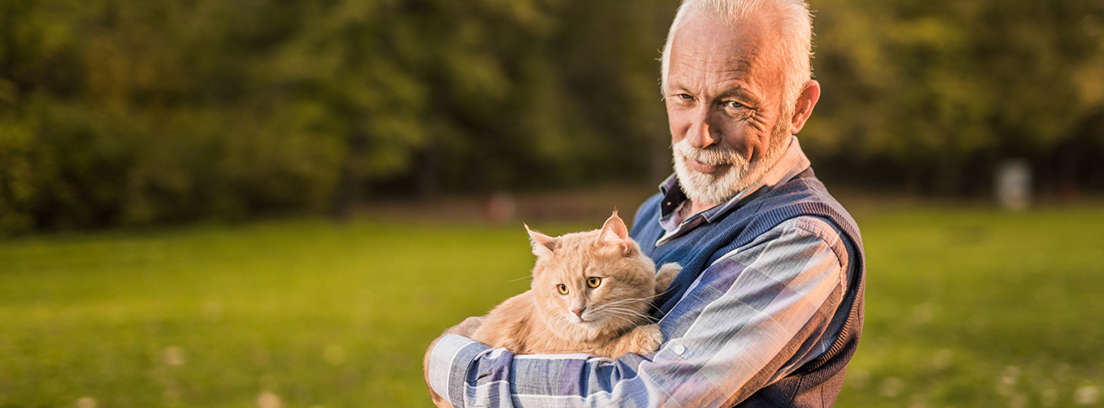Hombre mayor sentado en un parque con gato sobre sus piernas y tocando un perro
