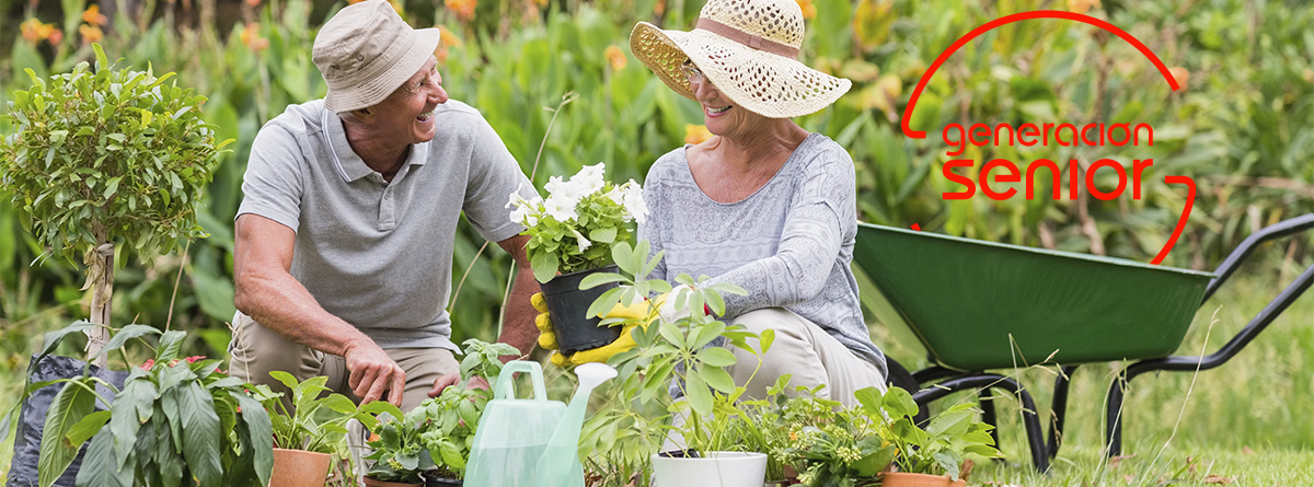 Dos personas mayores disfrutando de la jardinería